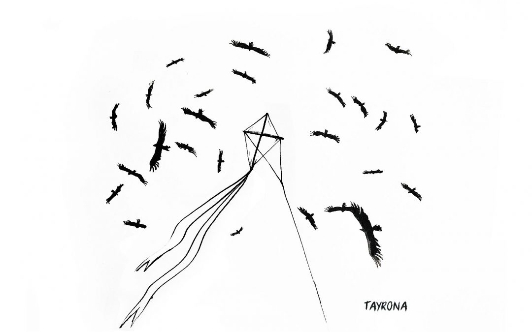 Gallinazos por cometas